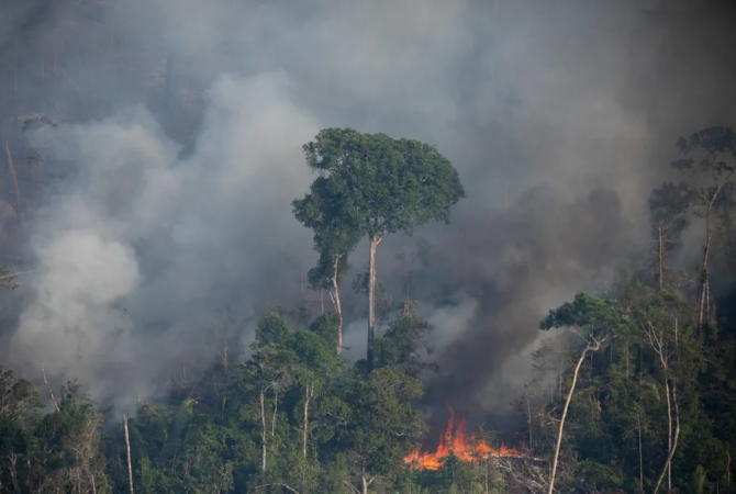 Defensoría pide intervención federal en Amazonas por quemadas